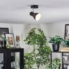 Farel Plafoniera, Faretto da soffitto Cromo, Nero, 1-Luce