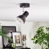 Farel Plafoniera, Faretto da soffitto Cromo, Nero, 1-Luce