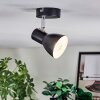 Farel Plafoniera, Faretto da soffitto Cromo, Nero, 1-Luce