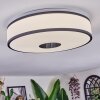 Elran Plafoniera LED Bianco, 1-Luce