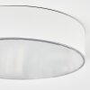 Elmar Plafoniera LED Bianco, 1-Luce