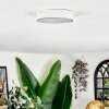 Elmar Plafoniera LED Bianco, 1-Luce