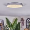 Elmar Plafoniera LED Argento, 1-Luce
