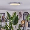 Elmar Plafoniera LED Argento, 1-Luce