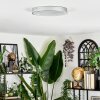 Elmar Plafoniera LED Argento, 1-Luce
