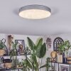 Elmar Plafoniera LED Argento, 1-Luce