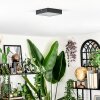 Esmar Plafoniera LED Nero, 1-Luce