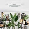 Esmar Plafoniera LED Bianco, 1-Luce
