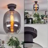 Apedo Plafoniera Grigio fumo, 1-Luce