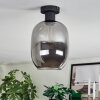 Apedo Plafoniera Grigio fumo, 1-Luce