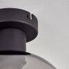 Apedo Plafoniera Grigio fumo, 1-Luce