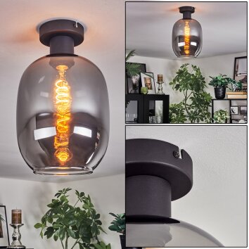 Apedo Plafoniera Grigio fumo, 1-Luce