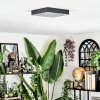 Esmar Plafoniera LED Nero, 1-Luce