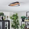Pompu Plafoniera LED Écru, Nero, 1-Luce