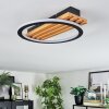 Pompu Plafoniera LED Écru, Nero, 1-Luce