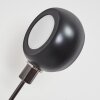 Nikkala Lampada da terra Cromo, Nero, 5-Luci