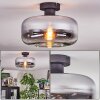 Boza Plafoniera Cromo, Chiaro, Grigio fumo, 1-Luce