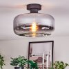 Boza Plafoniera Cromo, Chiaro, Grigio fumo, 1-Luce