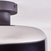 Boza Plafoniera Cromo, Grigio fumo, 1-Luce