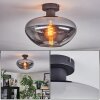 Mertola Plafoniera Grigio fumo, 1-Luce