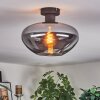 Mertola Plafoniera Grigio fumo, 1-Luce