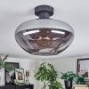 Mertola Plafoniera Grigio fumo, 1-Luce