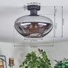 Mertola Plafoniera Grigio fumo, 1-Luce