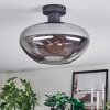 Mertola Plafoniera Grigio fumo, 1-Luce