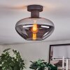 Mertola Plafoniera Grigio fumo, 1-Luce
