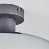 Mertola Plafoniera Chiaro, Grigio fumo, 1-Luce