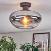 Mertola Plafoniera Chiaro, Grigio fumo, 1-Luce