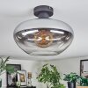 Mertola Plafoniera Chiaro, Grigio fumo, 1-Luce