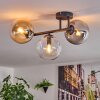 Gastor Plafoniera, Lampada a sfera Ambrato, Chiaro, Grigio fumo, 3-Luci