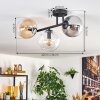 Gastor Plafoniera, Lampada a sfera Ambrato, Chiaro, Grigio fumo, 3-Luci