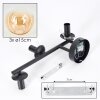 Gastor Plafoniera, Lampada a sfera Ambrato, Chiaro, 3-Luci