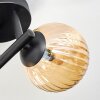 Chehalis Plafoniera, Lampada a sfera Ambrato, Chiaro, Grigio fumo, 3-Luci