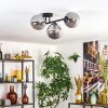 Gastor Plafoniera, Lampada a sfera Grigio fumo, 3-Luci