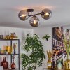 Gastor Plafoniera, Lampada a sfera Grigio fumo, 3-Luci