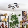 Gastor Plafoniera, Lampada a sfera Chiaro, Grigio fumo, 3-Luci