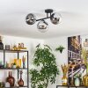 Gastor Plafoniera, Lampada a sfera Cromo, Chiaro, Grigio fumo, 3-Luci Gastor Plafoniera, Lampada a sfera Cromo, Chiaro, Grigio fumo, 3-Luci
