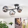 Gastor Plafoniera, Lampada a sfera Cromo, Chiaro, Grigio fumo, 3-Luci Gastor Plafoniera, Lampada a sfera Cromo, Chiaro, Grigio fumo, 3-Luci