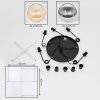 Koyoto Lampadario a sospensione, Lampada a sfera, Lampada a sospensione a cluster Ambrato, Chiaro, Grigio fumo, 5-Luci