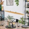 Fugelsta Lampadario a sospensione, Lampada a sospensione LED Nero, 1-Luce