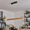 Fugelsta Lampadario a sospensione, Lampada a sospensione LED Nero, 1-Luce