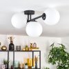 Gastor Plafoniera, Lampada a sfera Bianco, 3-Luci