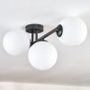 Gastor Plafoniera, Lampada a sfera Bianco, 3-Luci