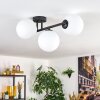 Gastor Plafoniera, Lampada a sfera Bianco, 3-Luci