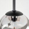 Chehalis Plafoniera, Lampada a sfera Grigio fumo, 5-Luci