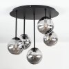 Chehalis Plafoniera, Lampada a sfera Grigio fumo, 5-Luci