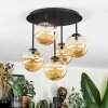 Chehalis Plafoniera, Lampada a sfera Ambrato, 5-Luci